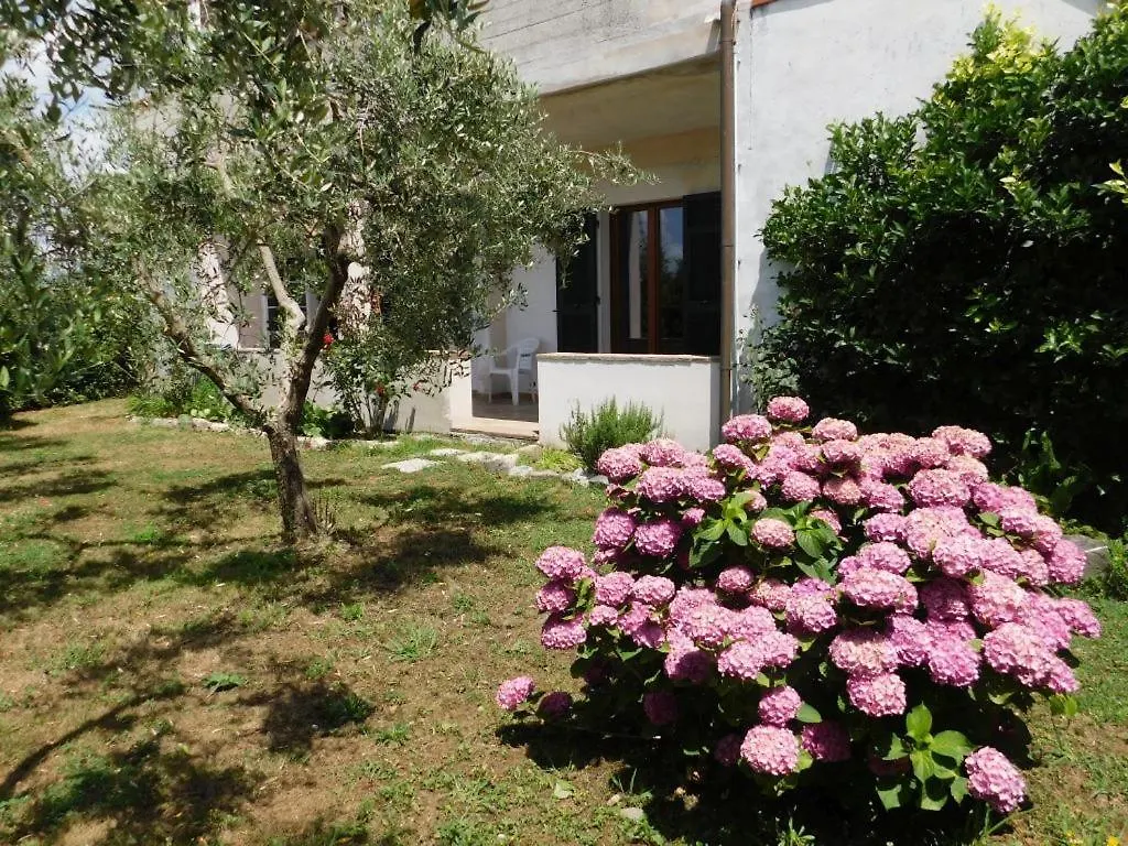 Agriturismo Casalin Villa Sarzana Alloggio per agriturismo